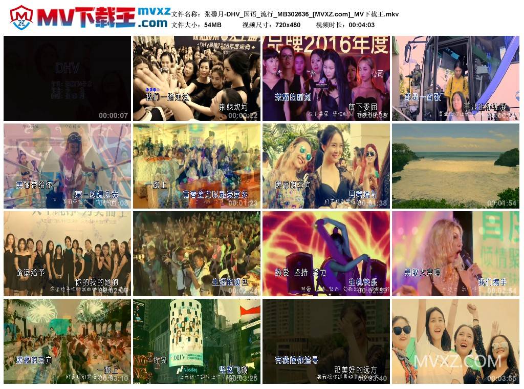 张馨月-DHV_国语_流行_MB302636